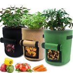 Potato Grow Bag Manufacturer - OEM/ODM Custom Felt Avocado Nursery Box