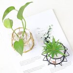 Hydroponic Vase Manufacturer - OEM/ODM Custom Wooden Frame Transparent Glass