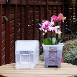Orchid Pot Manufacturer - OEM/ODM Custom Clear Plastic with Holes Saucers
