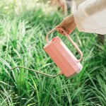 Watering Can Manufacturer - OEM/ODM Custom 1.2l Stainless Steel Long Spout