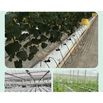 Seedling Bag Manufacturer - OEM/ODM Custom PE Planting Bag Greenhouse