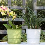 Flower Pot Manufacturer - OEM/ODM Custom Beautiful Planters Home Decoration