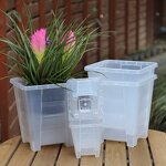 Orchid Pot Manufacturer - OEM/ODM Custom PP Plastic Root Control Clear