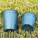 Plug Tray Manufacturer - OEM/ODM Custom Xtb72 Seedling Starting Sprouting