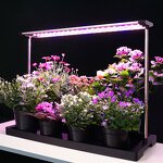 Smart Garden Manufacturer - OEM/ODM Custom Fiberglass Self Watering Planter