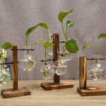 Terrarium Manufacturer - OEM/ODM Custom Wooden Stand Hydroponic Glass Plant