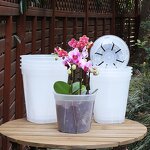 Orchid Pot Manufacturer - OEM/ODM Custom Round Rose Phalaenopsis Ceramic