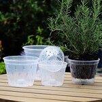 Self Watering Flower Pot Manufacturer - OEM/ODM Custom Double Layer Transparent