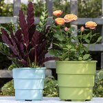 Flower Pot Manufacturer - OEM/ODM Custom Beautiful Planters Home Decoration