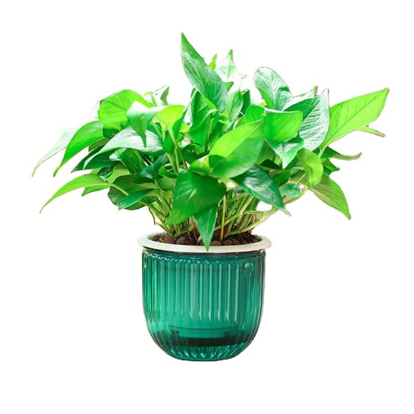 Self Watering Planter Manufacturer - OEM/ODM Custom Small Garden Plastic Plant