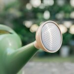 Watering Can Manufacturer - OEM/ODM Custom 4l Plastic Decorative Garden Can