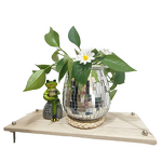 Disco Ball Planter Manufacturer - OEM/ODM Custom 13cm Silver Glass Metal