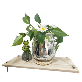 Disco Ball Planter Manufacturer - OEM/ODM Custom 13cm Silver Glass Metal