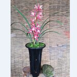 Garden Pot Manufacturer - OEM/ODM Custom High Quality High Waist Black