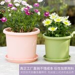 Planter Pot Manufacturer - OEM/ODM Custom Round Plastic Nordic with Root