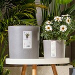 Self Watering Pot Manufacturer - OEM/ODM Custom Succulent Garden Plastic PP