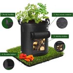 Potato Grow Bag Manufacturer - OEM/ODM Custom Felt Avocado Nursery Box