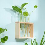 Hydroponic Vase Manufacturer - OEM/ODM Custom Test Tube Glass Small Fresh