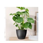 Self Watering Flower Pot Manufacturer - OEM/ODM Custom High Quality Wholesale