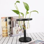Air Plant Terrarium Manufacturer - OEM/ODM Custom Desktop Glass Planter Bulb