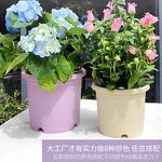 Planter Pot Manufacturer - OEM/ODM Custom Round Plastic Nordic with Root