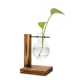 Terrarium Manufacturer - OEM/ODM Custom Wooden Stand Hydroponic Glass Plant