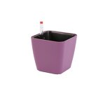 Mini Bonsai Pot Manufacturer - OEM/ODM Custom Small Plastic Self Watering