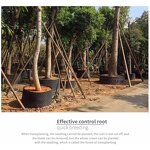 Raised Garden Bed Manufacturer - OEM/ODM Custom 2-Pack Outdoor Deep Root