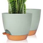 Self Watering Flower Pot Manufacturer - OEM/ODM Custom High Quality Wholesale