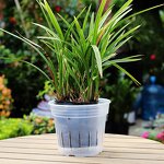Orchid Pot Manufacturer - OEM/ODM Custom Clear Plastic with Holes Outdoor