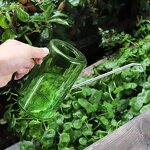 Watering Kettle Manufacturer - OEM/ODM Custom Transparent Plastic Resin 1L