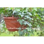 Hanging Basket Manufacturer - OEM/ODM Custom Terracotta Plastic Hang Pots