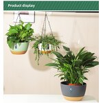 Hanging Flower Pot Manufacturer - OEM/ODM Custom White Dark Gray Elegant