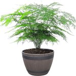 Resin Flower Pot Manufacturer - OEM/ODM Custom Imitation Wood Grain Green