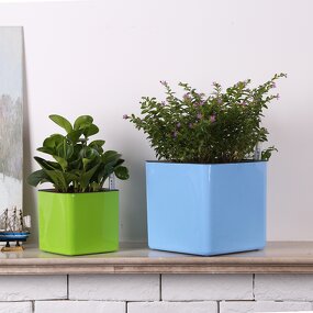 Self Watering Planter Manufacturer - OEM/ODM Custom Fashion Translucent Plastic