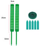 Plant Support Stake Manufacturer - OEM/ODM Custom 25 Cm Green Fiberglass