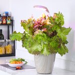 Smart Garden Manufacturer - OEM/ODM Custom Fiberglass Vegetable Planters Box