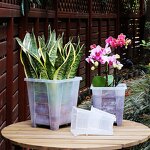 Orchid Pot Manufacturer - OEM/ODM Custom Clear Plastic with Holes Saucers