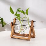 Test Tube Vase Manufacturer - OEM/ODM Custom Nordic Glass Hydroponic Solid