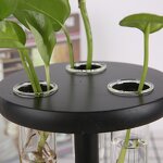 Air Plant Terrarium Manufacturer - OEM/ODM Custom Desktop Glass Planter Bulb