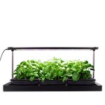 Smart Garden Manufacturer - OEM/ODM Custom Fiberglass Self Watering Planter