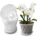 Orchid Pot Manufacturer - OEM/ODM Custom Clear Plastic with Holes Garden