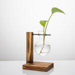 Terrarium Manufacturer - OEM/ODM Custom Wooden Stand Hydroponic Glass Plant
