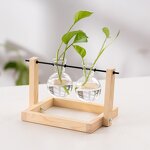 Test Tube Vase Manufacturer - OEM/ODM Custom Nordic Glass Hydroponic Solid