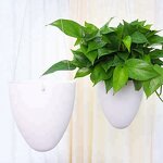 Self Watering Pot Manufacturer - OEM/ODM Custom Plastic Flower Vegetable Pot