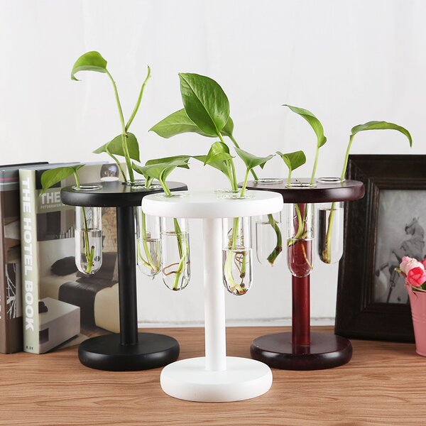 Air Plant Terrarium Manufacturer - OEM/ODM Custom Desktop Glass Planter Bulb