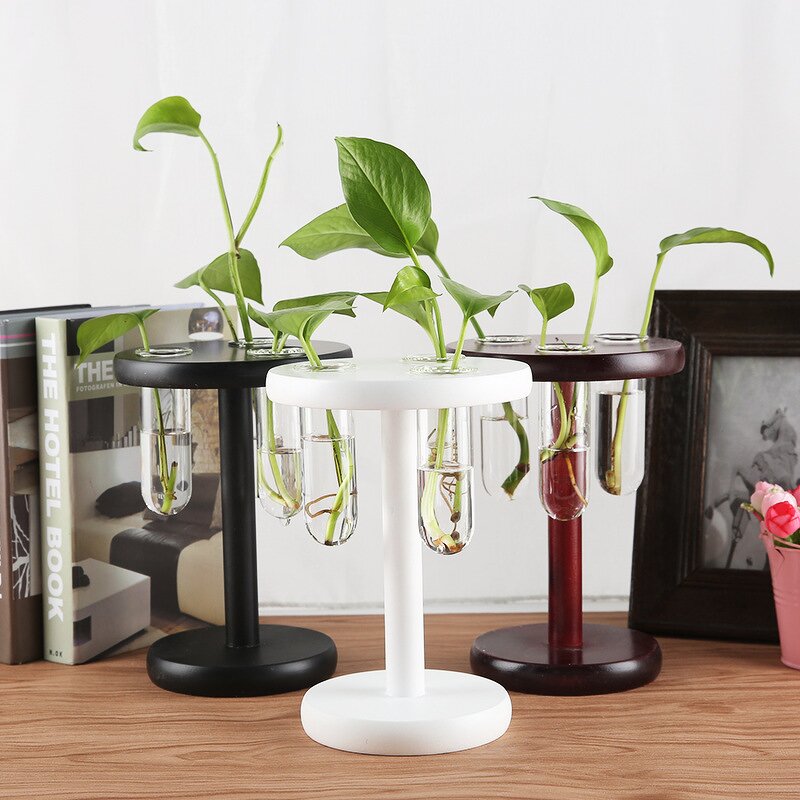 Air Plant Terrarium Manufacturer - OEM/ODM Custom Desktop Glass Planter Bulb