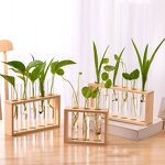 Hydroponic Vase Manufacturer - OEM/ODM Custom Test Tube Glass Small Fresh