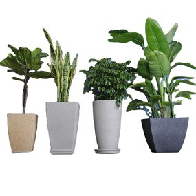 Garden Planter Manufacturer - OEM/ODM Custom Modern Plastic Planter Flower