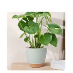 Succulent Flower Pot Manufacturer - OEM/ODM Custom Green Resin Air Permeability